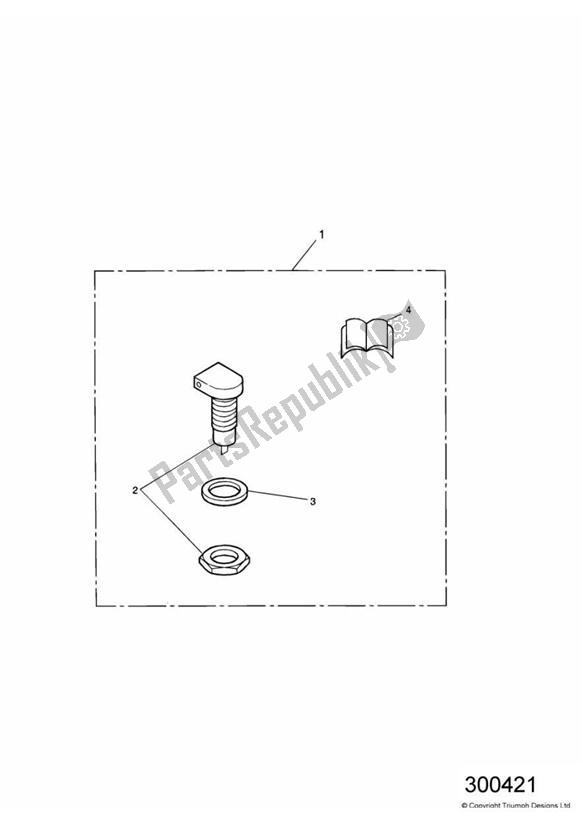 All parts for the Auxiliary Power Socket Kit of the Triumph America Carburettor 790 2002 - 2007